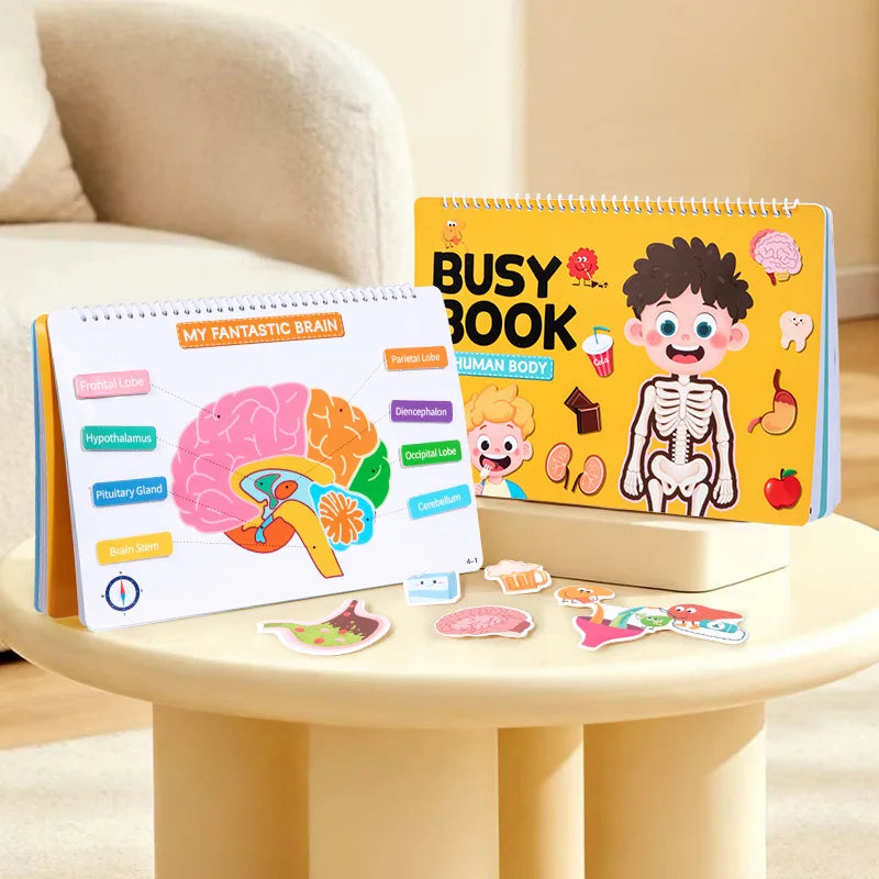 Quiet Book Busy Body Structure Book Cross Border Kids Early Education Cognitive Tear and Paste Flipping Preschool Enlightenment