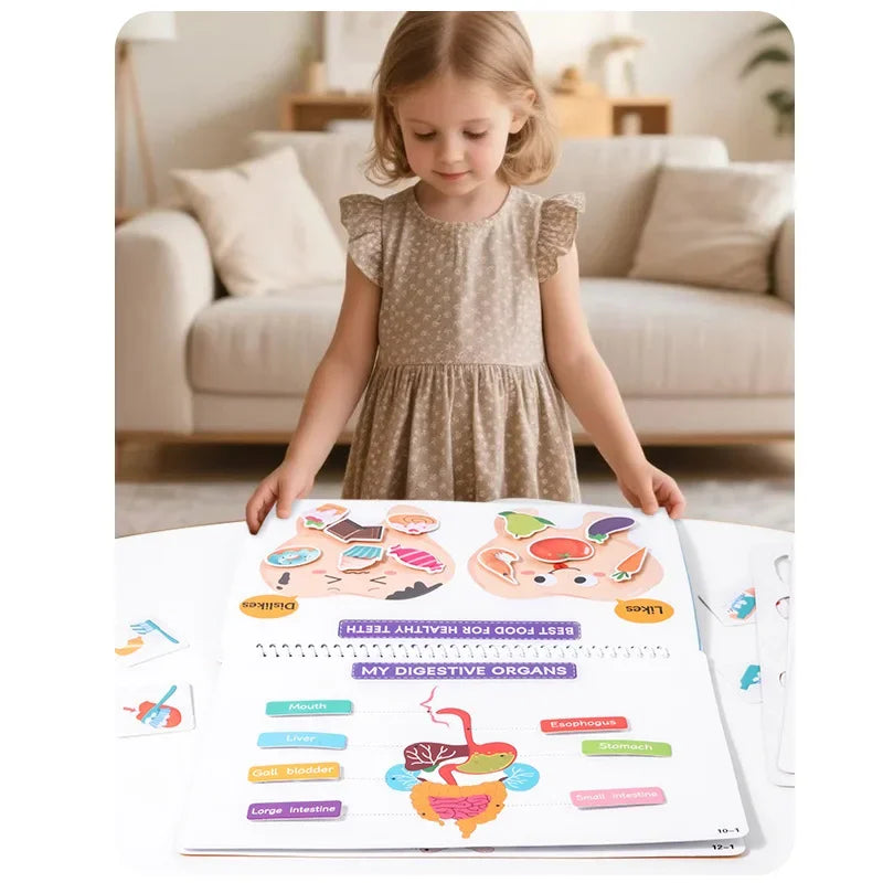 Quiet Book Busy Body Structure Book Cross Border Kids Early Education Cognitive Tear and Paste Flipping Preschool Enlightenment