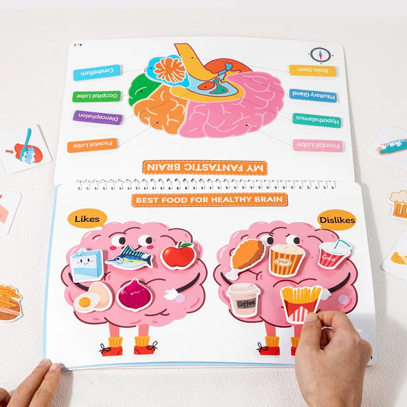 Quiet Book Busy Body Structure Book Cross Border Kids Early Education Cognitive Tear and Paste Flipping Preschool Enlightenment