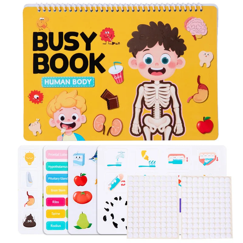 Quiet Book Busy Body Structure Book Cross Border Kids Early Education Cognitive Tear and Paste Flipping Preschool Enlightenment