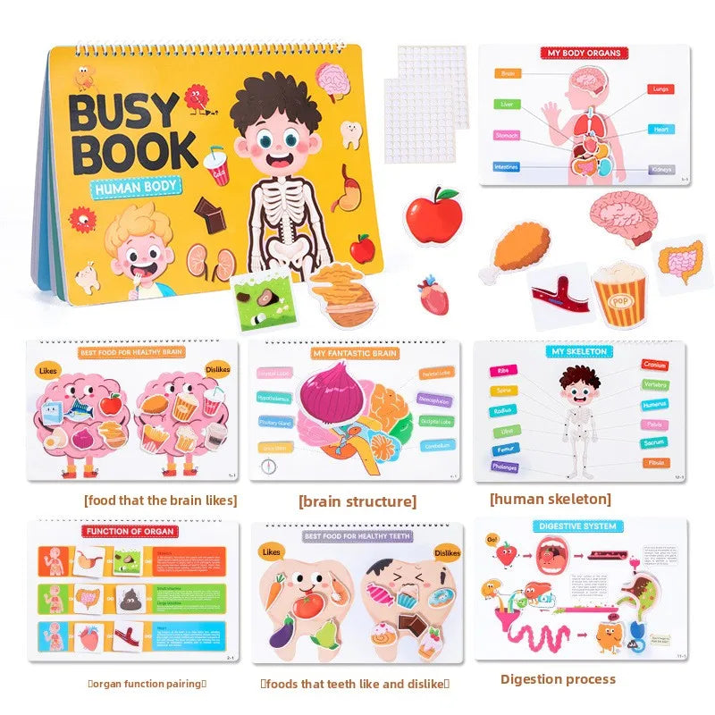 Quiet Book Busy Body Structure Book Cross Border Kids Early Education Cognitive Tear and Paste Flipping Preschool Enlightenment